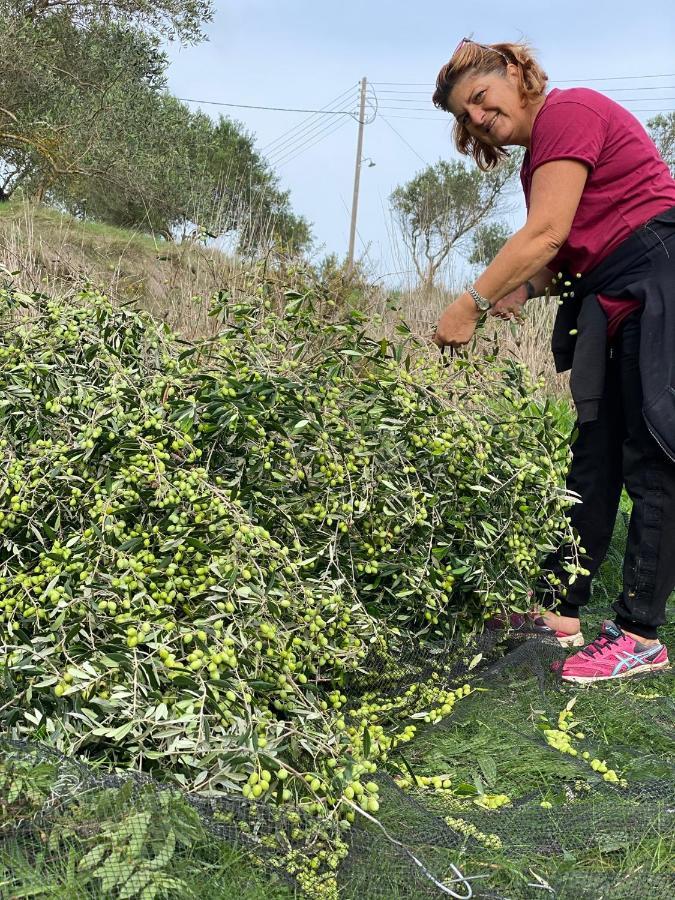 Anna Appartamento